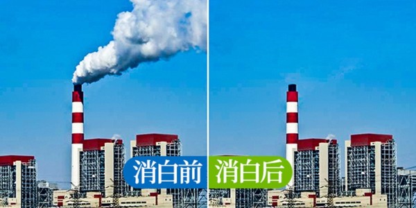 小型汽鍋煙囪除白煙裝備廠家