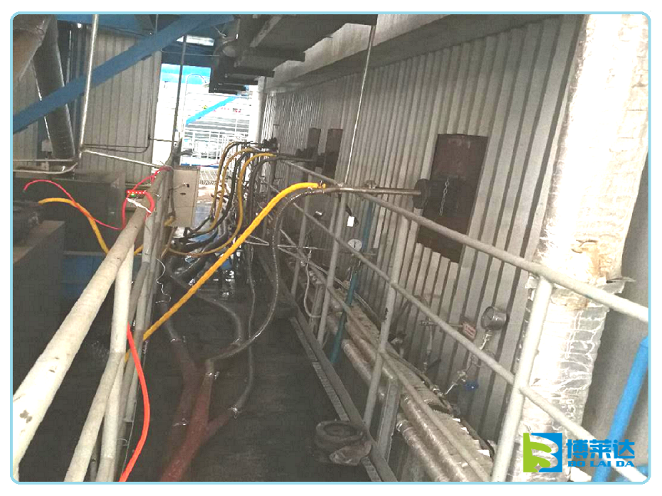 輪回流化床汽鍋高份子脫硝 輪回流化床汽鍋高份子脫硝